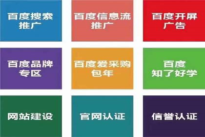 某电商平台的SEM投放全流程案例